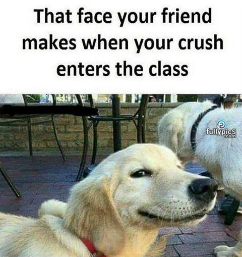 Crush Memes Picture Gallery