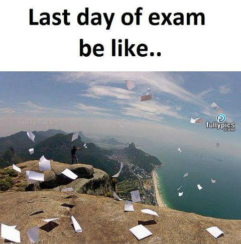 Exam Memes Picture Gallery