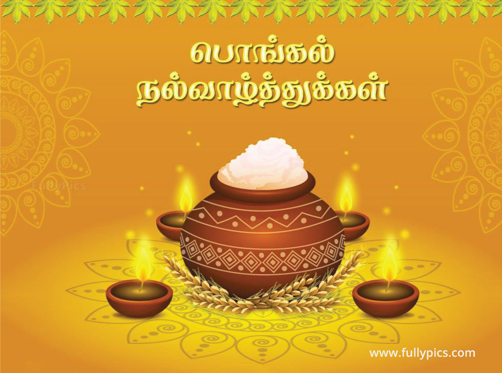 HD Pongal Wishes Gallery